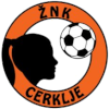 https://img.zexupeixun.com/img/football/team/26a677efcdd89a3407b165d3b180819e.png